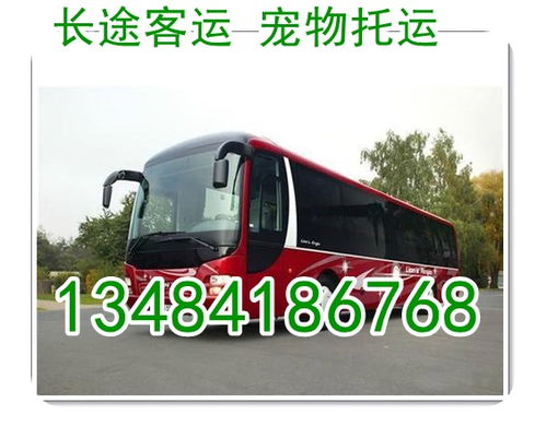 漕河至浠水的汽车票价