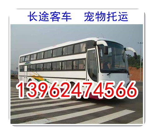 鹿邑到周口的汽车费用是多少? 鹿邑到周口的汽车费用是多少?