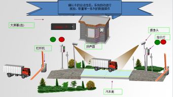 无人值守汽车地磅的市场分析与价格比较