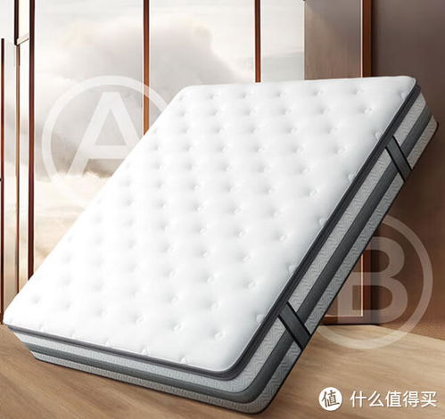 户外汽车气垫床垫的价格与选择指南
