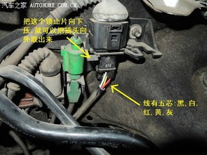 汽车传感器改色服务价格详解