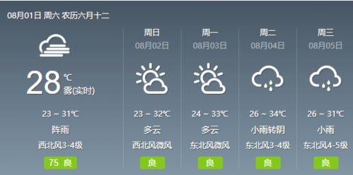 道路条件与天气状况