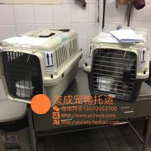宠物汽车托运费用解析 宠物汽车托运费用解析