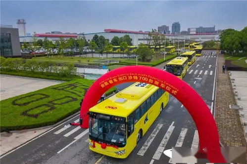 国外汽车能拉多少人回国？探讨跨境运输的挑战与机遇