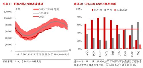 市场预期与价格