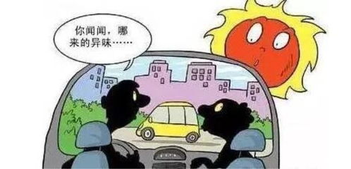 汽车噪音，理解与管理的必要性
