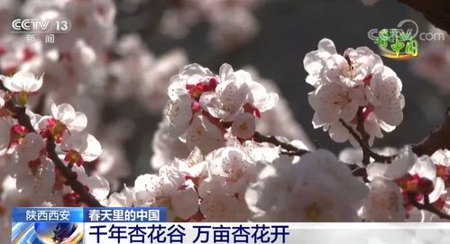 春天的生机与活力，中国的活力满满