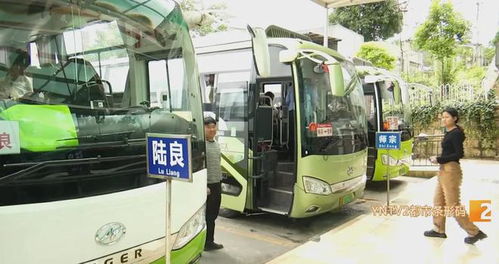 泸西到昆明的汽车票价