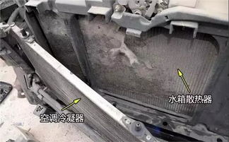 汽车水箱加热管的市场行情及价格分析