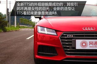奥迪汽车除味玩偶的深度探讨与价格分析