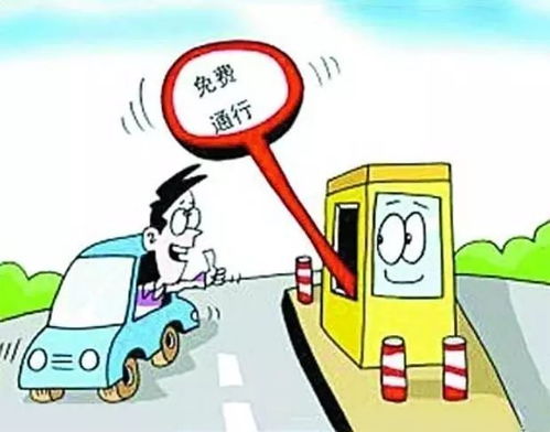 汽车的身高限制与免费政策