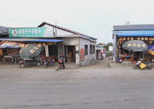 从堡村到大宁的汽车费用
