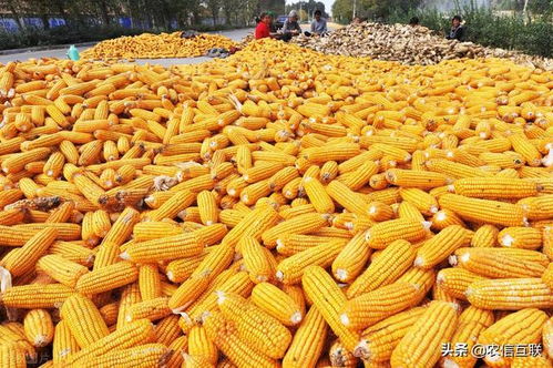 宜昌到信阳的汽车费用分析 宜昌到信阳的汽车费用分析