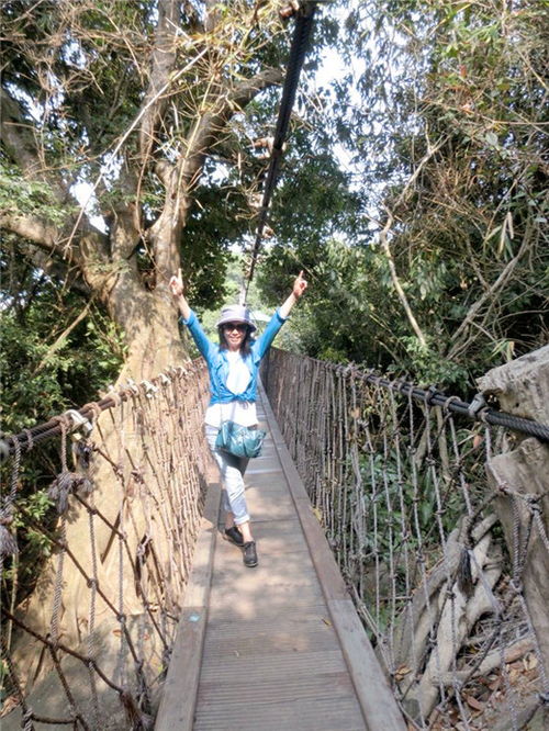 穿越千山万水的旅程，探索重庆与上海之间的汽车票价之旅