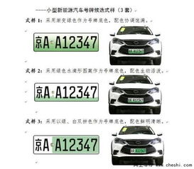 乐清地区汽车号牌数量