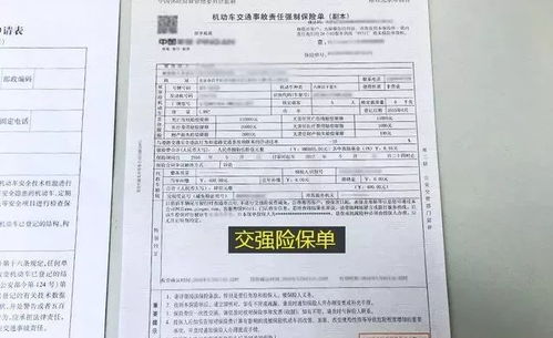 汽车免检邮寄费用计算与说明