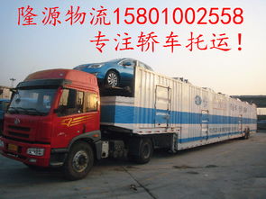 宠物汽车托运在昆明的费用详解 宠物汽车托运在昆明的费用详解