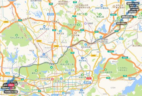 龙岗区汽车票价分析及趋势预测