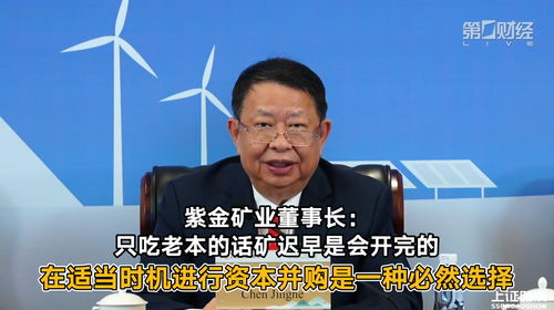 紫金矿业董事长谈金价为何节节高升