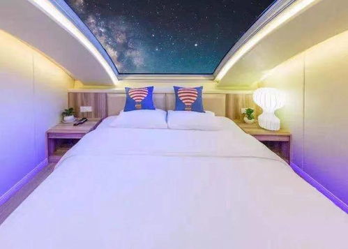 容桂汽车星空顶的价格范围与选购指南