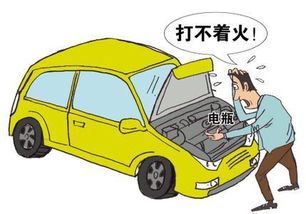 汽车类型与维护需求