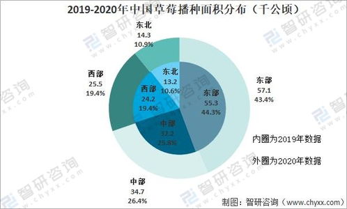 中国的汽车税收体系及其站点分布