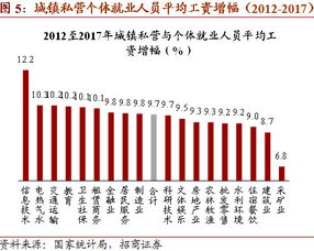 南昌汽车美容师的薪资水平分析与就业前景探讨