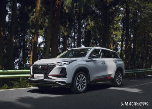 荷泽到曹州的汽车费用分析与选择建议