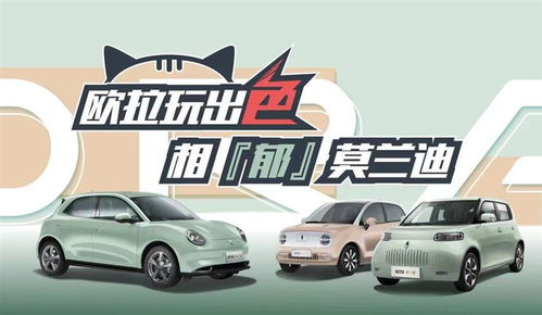 长城汽车，中国领先的电动汽车制造商及其员工规模
