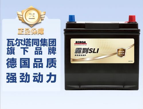 生产汽车电瓶的费用分析