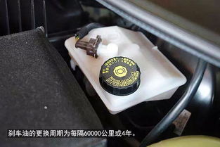 春季汽车保养与更换液体费用分析