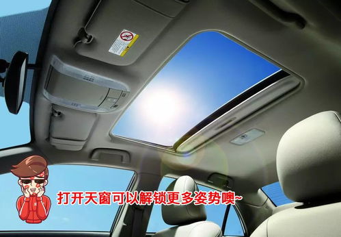 安装汽车天窗窗帘的费用详解