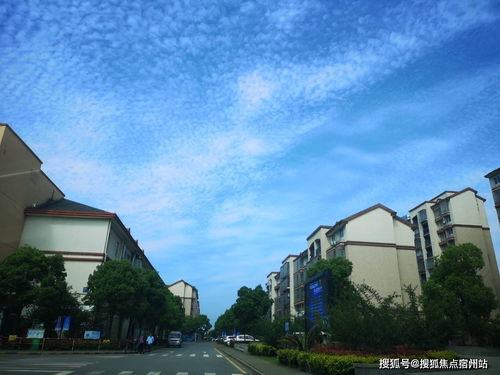 银川到大武口的交通费用分析