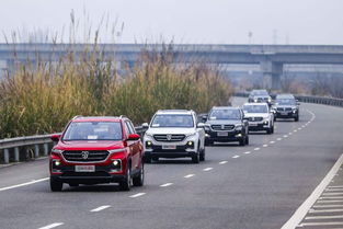 什么是低扭车？