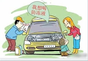 汽车维修中的冷冻液—了解和选择的指南