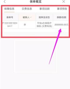 在哪里查询您的汽车保险金额