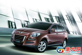 东风汽车，政府补贴政策与购车指南