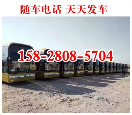 新乡到荷泽的汽车票价查询及出行攻略