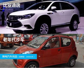 国内电动汽车的种类与发展现状