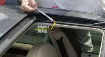 汽车天窗加装气囊的价格分析