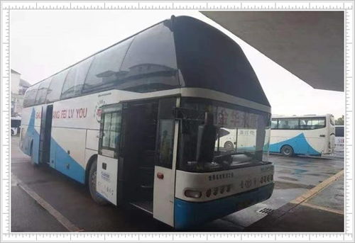 直达德州，大营出发汽车长途出行指南