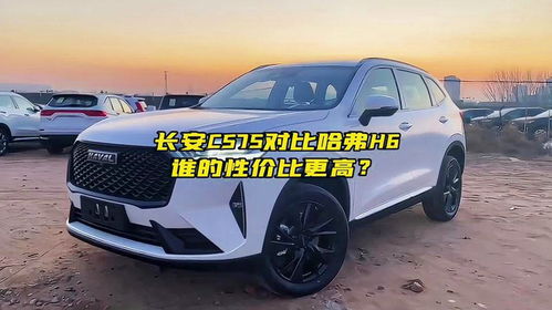 抖音汽车硬汉标配多少钱？