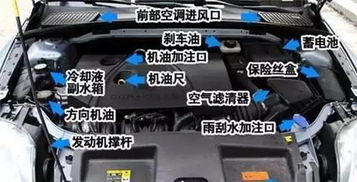 汽车机油如何查看其号码？