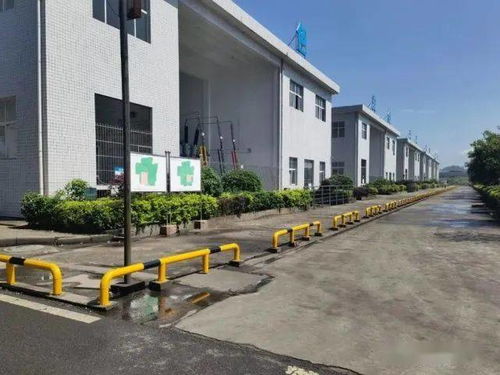 澄城县汽车保有量调查报告