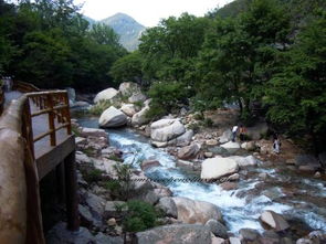 北九水小汽车进山费多少
