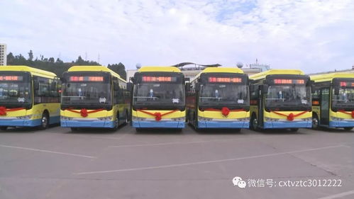 公共汽车的尺寸规格详解