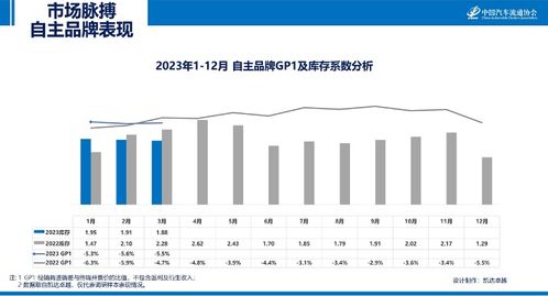 中国汽车市场在2023年的表现