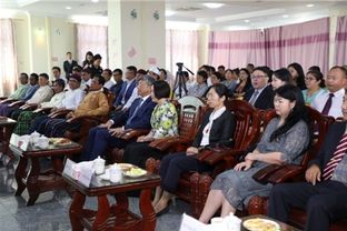 政府援助与人道主义精神的体现，中国政府首批救援物资抵达缅甸