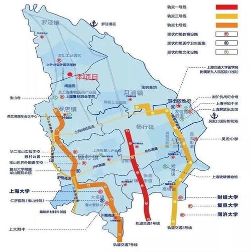 上海汽车工业的历史变迁与未来发展