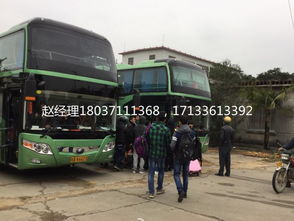 甘谷到庆阳的汽车票价